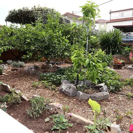 Stela بيت ضيافة تروغير