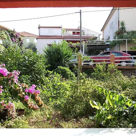 Guest house Stela 3*